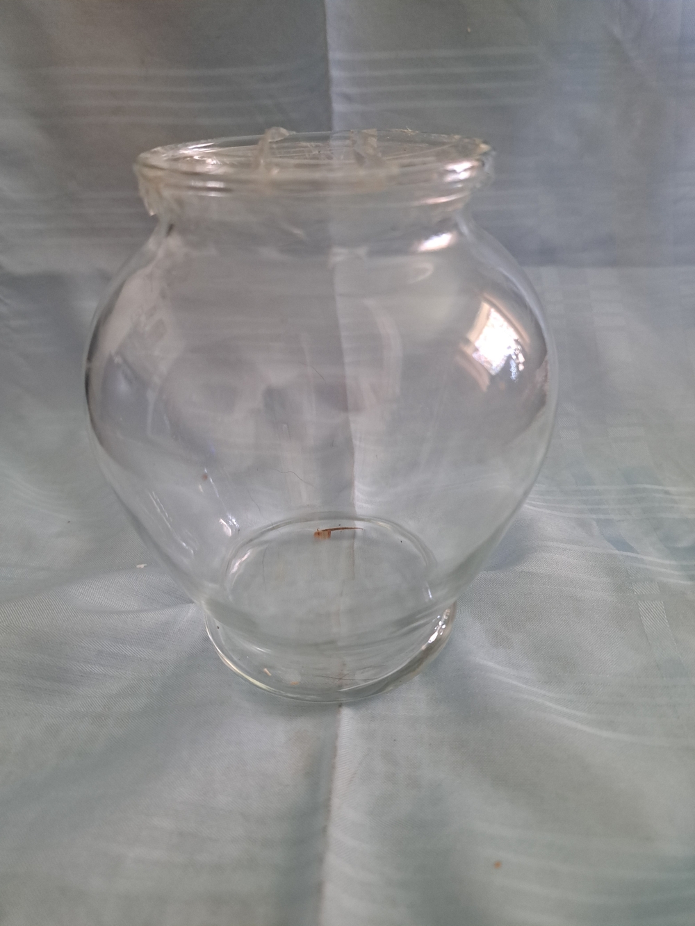 Clear Glass Decorative Vase - Transparent Home Accent